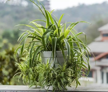 1744598485420265.png 0.png